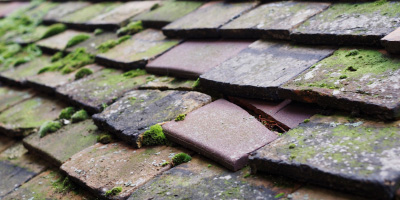 Dagnall roof repair costs